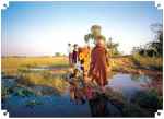  27 November 1985: His Holiness walking across a rice paddy field to see the abandoned Asokan pillar at Tilaurakot, Kapilavastu, of Nepal. His Holiness was very fond of visiting Nepal and Lumbini, the birthplace of the Buddha. Accordingly, His Holiness visited Lumbini and Nepal all together five times in order to give support in strenghtening Theravada Buddhism in Nepal.